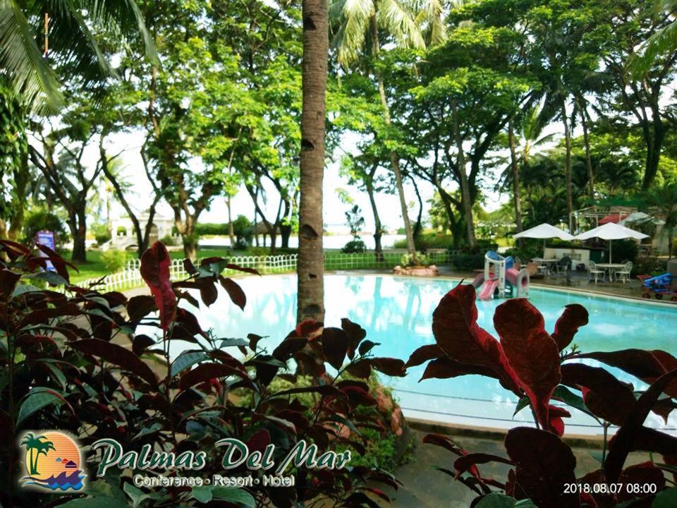 Hotel Palmas Del Mar Bacolod Exterior foto